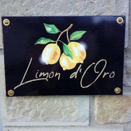 Vila Limon D'Oro Monte San Savino Exteriér fotografie